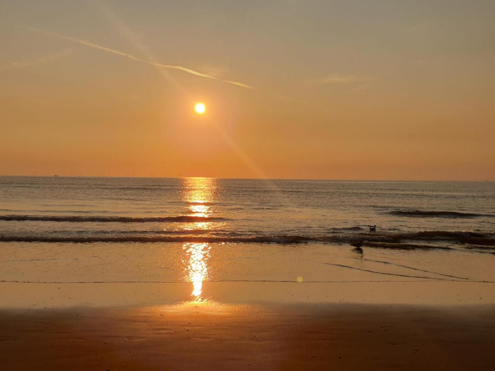 Ferienhaus Beach-house27 *